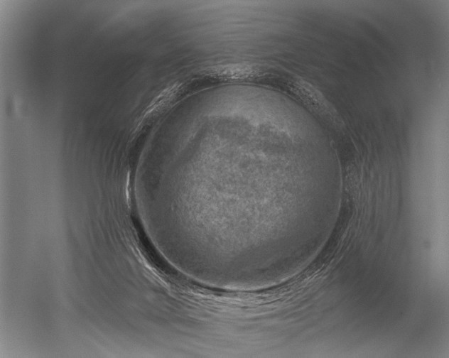 X0000052570024200507081713