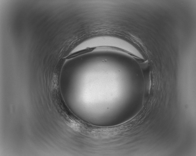 X0000052570025200507081713