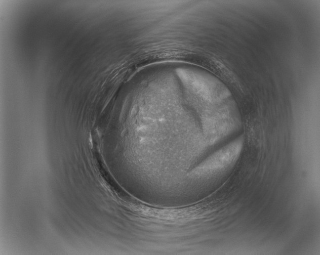 X0000052570026200507081713