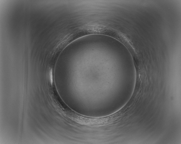 X0000052570027200507081713