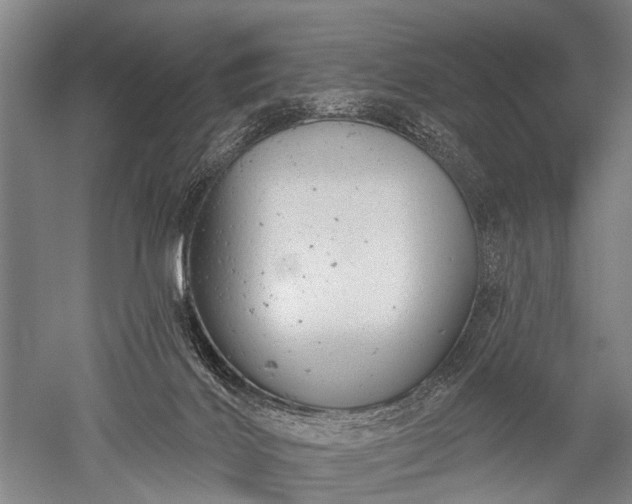 X0000052570028200507081713