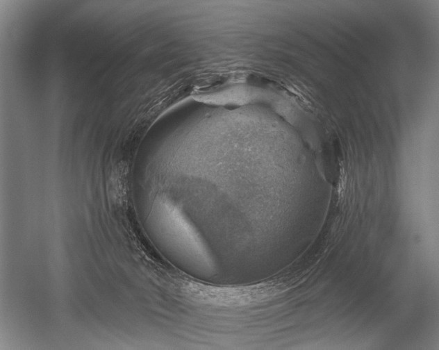 X0000052570030200507081713