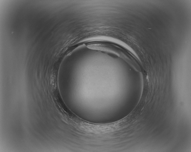 X0000052570031200507081713