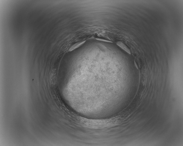 X0000052570034200507081713