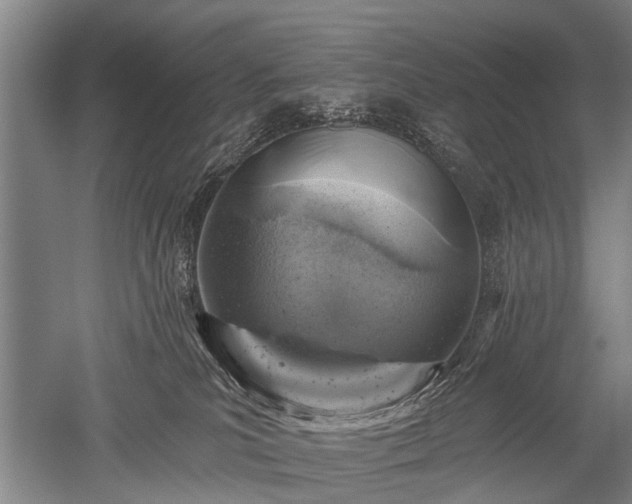 X0000052570039200507081713