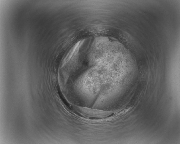 X0000052570040200507081713