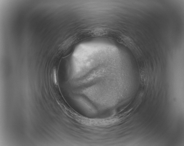 X0000052570046200507081713