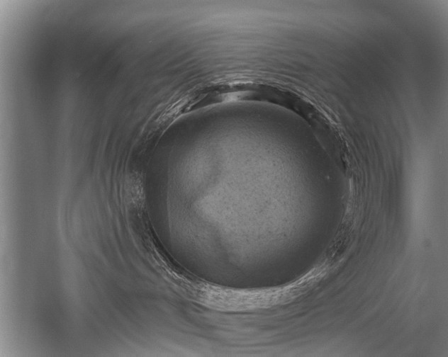 X0000052570048200507081713