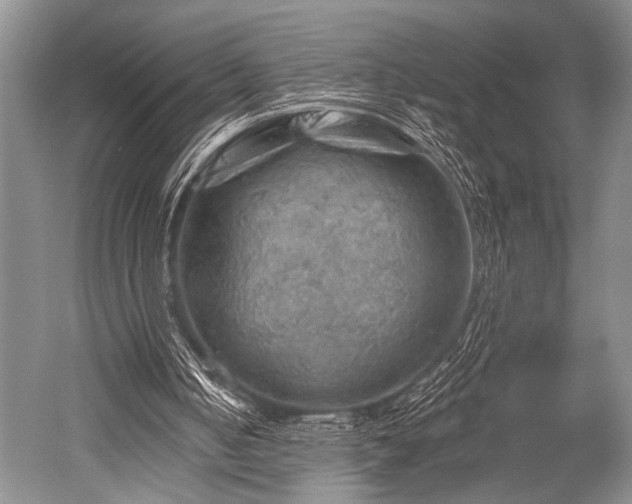 X0000052570050200507081712