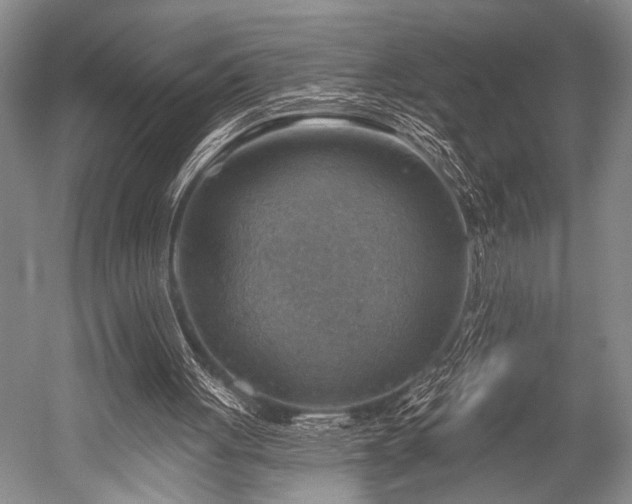 X0000052570051200507081712