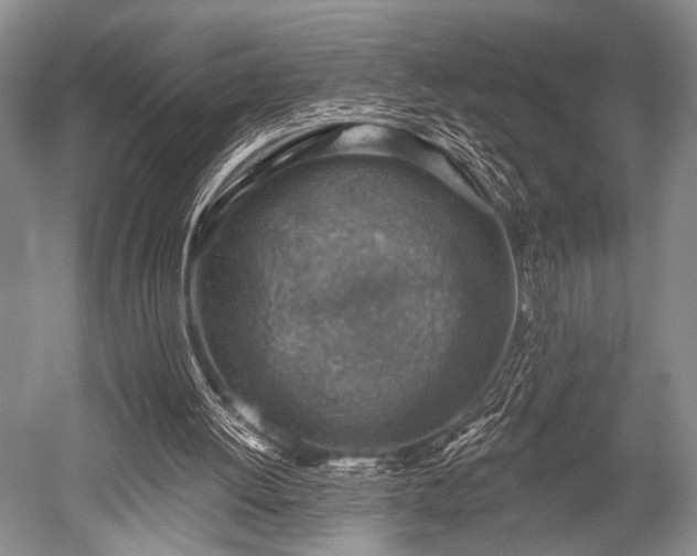 X0000052570052200507081712