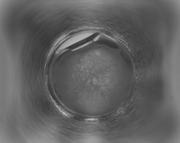 X0000052570053200507081712