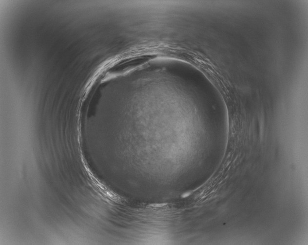 X0000052570054200507081712