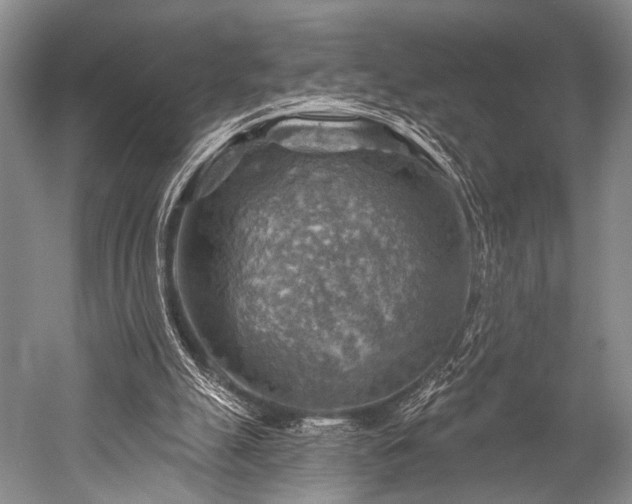 X0000052570055200507081712