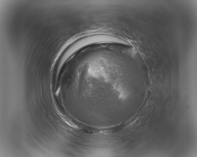 X0000052570056200507081712