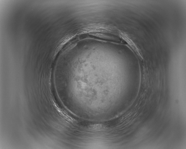 X0000052570058200507081712