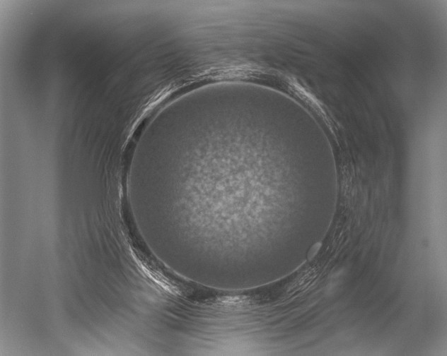 X0000052570059200507081712