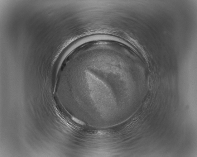 X0000052570060200507081712