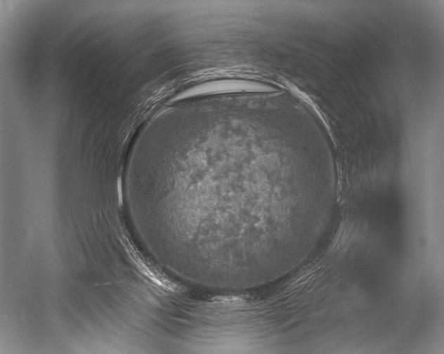 X0000052570061200507081712