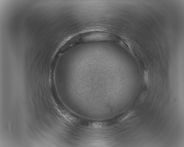 X0000052570064200507081712