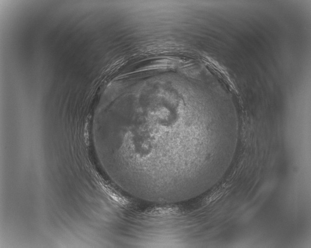 X0000052570065200507081712