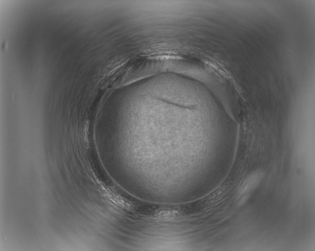 X0000052570066200507081712