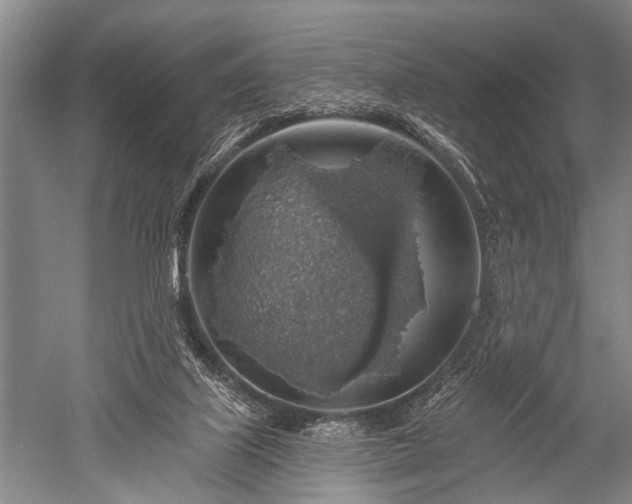 X0000052570067200507081712