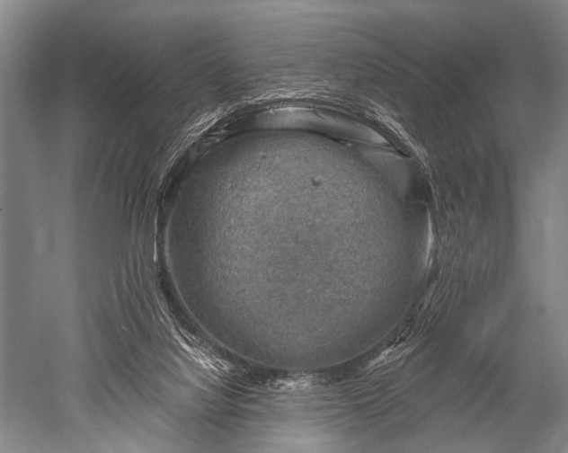 X0000052570068200507081712