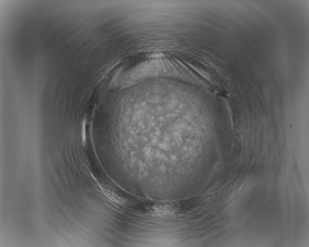 X0000052570070200507081712