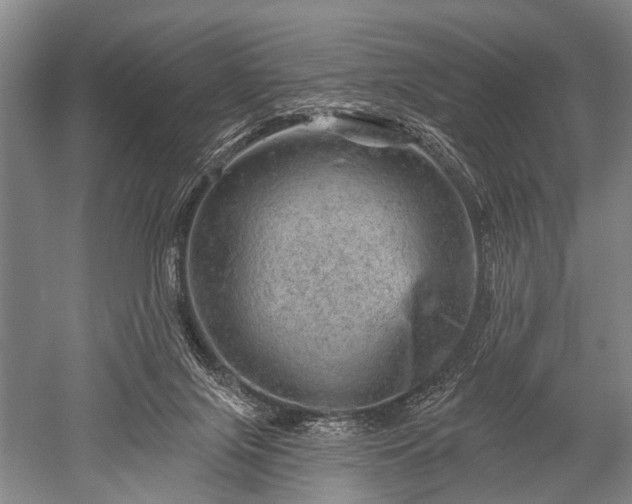 X0000052570071200507081713