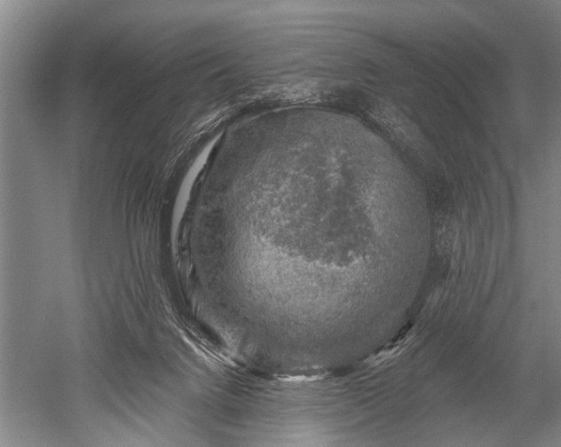 X0000052570072200507081713