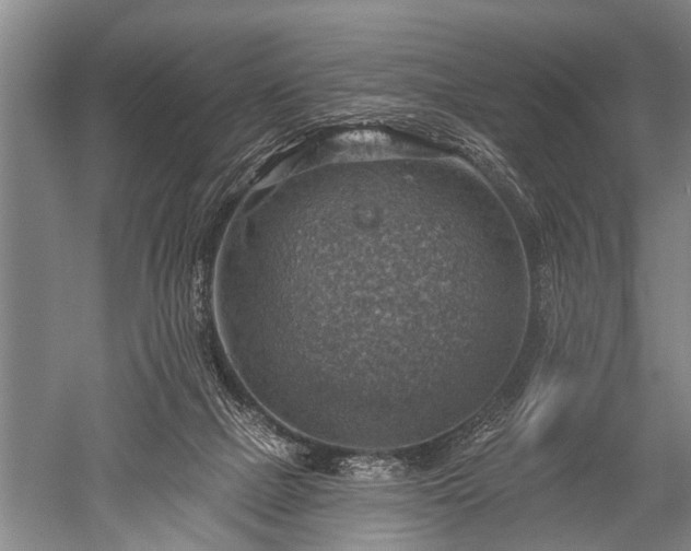 X0000052570073200507081713