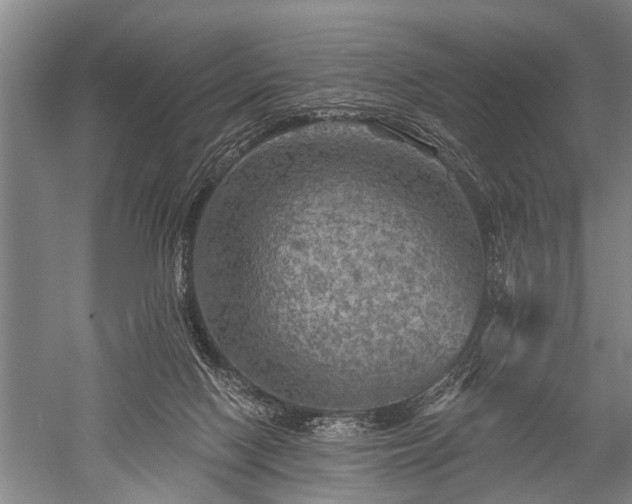 X0000052570074200507081713