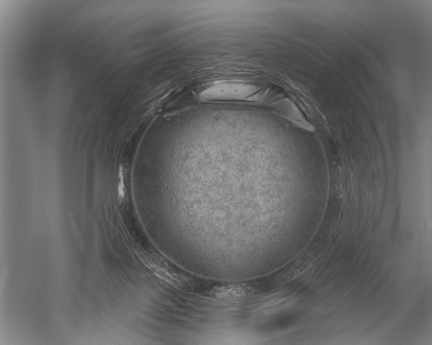 X0000052570075200507081713