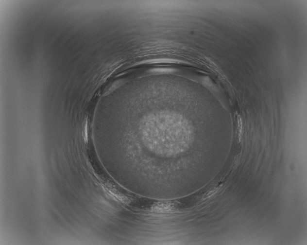 X0000052570076200507081713