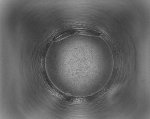 X0000052570077200507081713