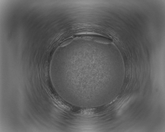 X0000052570078200507081713