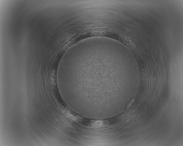 X0000052570083200507081713