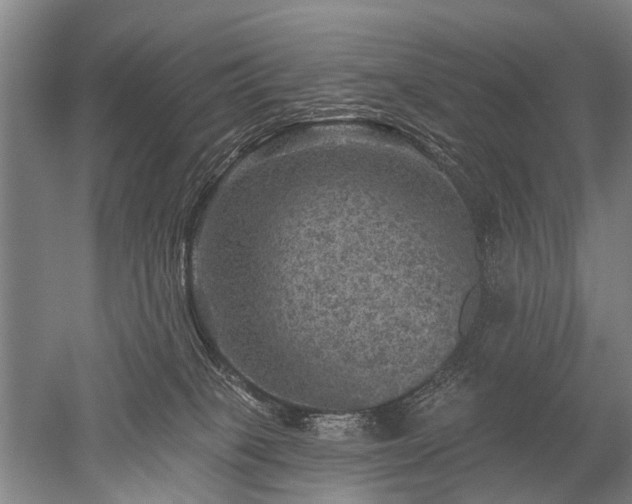 X0000052570085200507081713