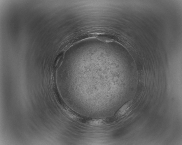 X0000052570086200507081713