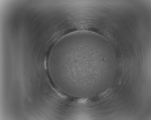 X0000052570090200507081713