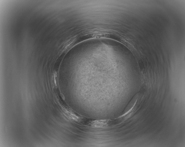 X0000052570094200507081713