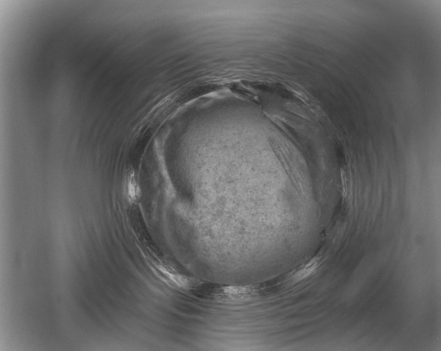 X0000052570095200507081713