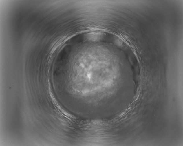 X0000052570097200507081712