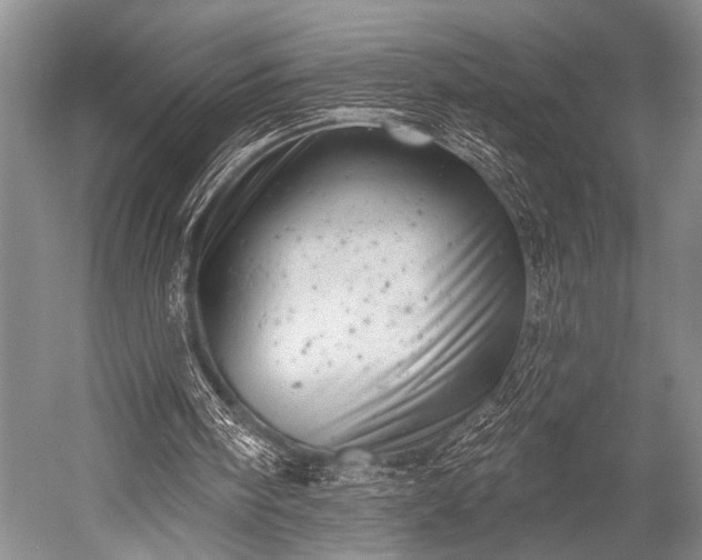 X0000052570098200507081712