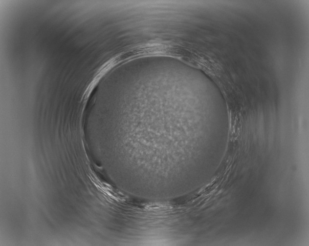 X0000052570099200507081712