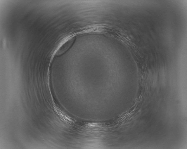 X0000052570100200507081712