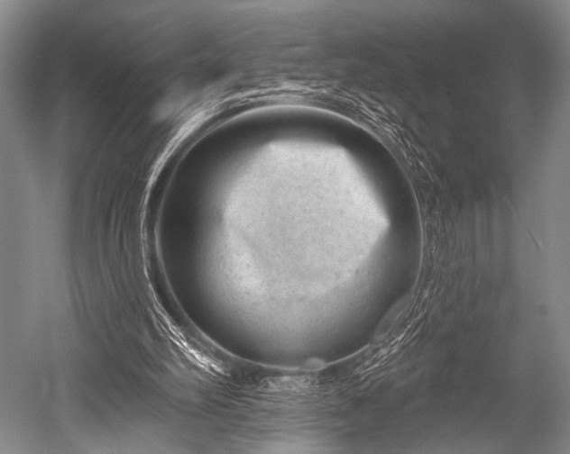 X0000052570102200507081712