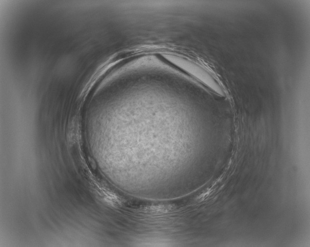 X0000052570103200507081712