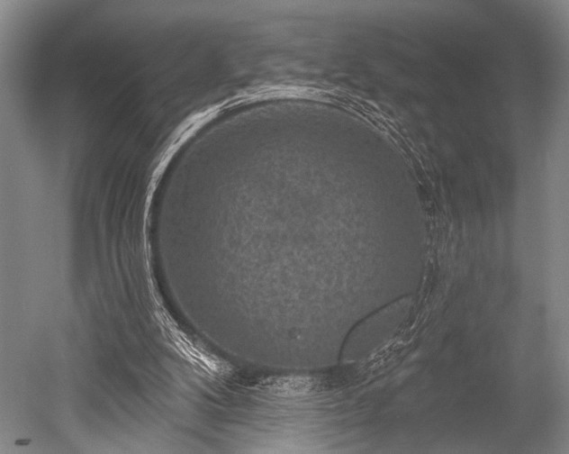 X0000052570104200507081712